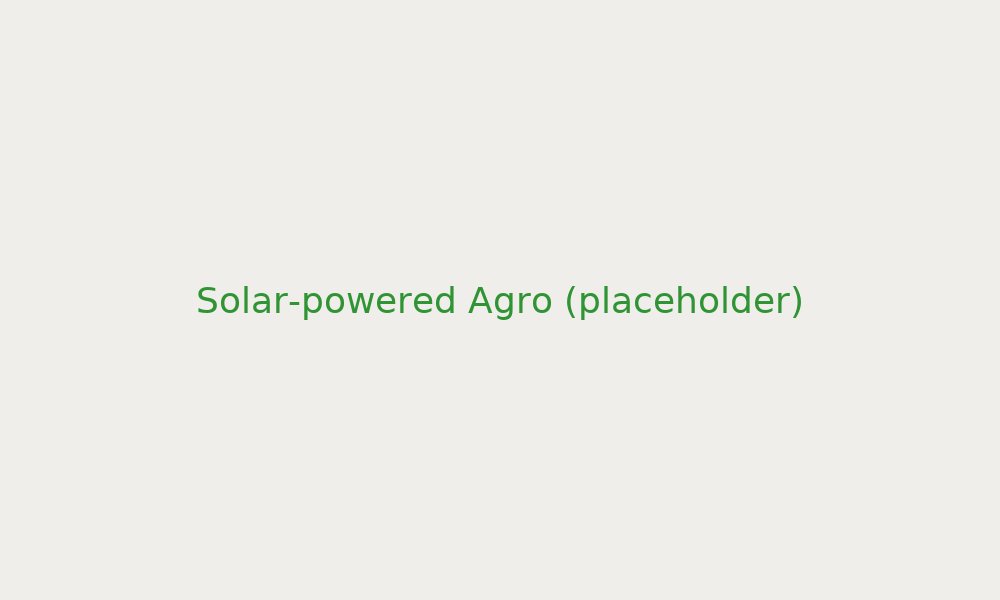 Solar panels powering agro processing equipment